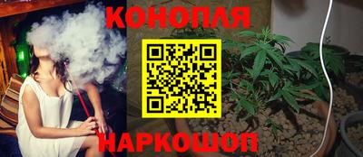 индика Новозыбков