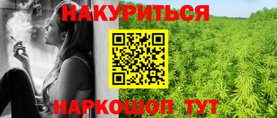 индика Новозыбков