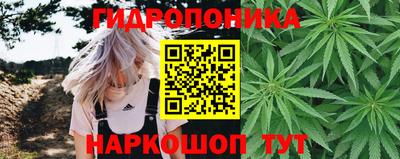 индика Новозыбков