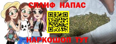 индика Новозыбков