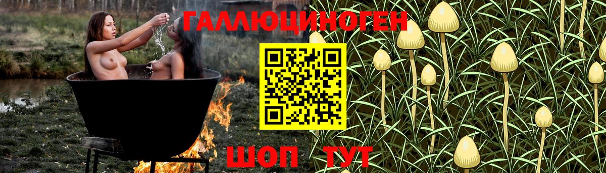 Белореченск  Псилоцибиновые грибы Psilocybe  купить  сайты  Вход с VPN 